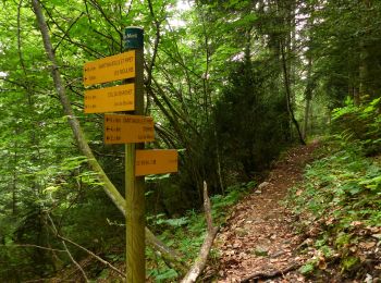 Trail Walking Saint-Baudille-et-Pipet - Esclops Trièves le menil - Photo