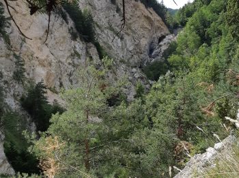 Excursión Senderismo Fontcouverte-la-Toussuire - 20190816 Boucle La Forestière - Photo