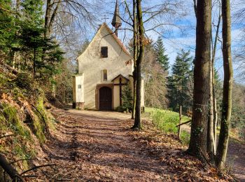 Tocht Stappen Ottersthal - Saverne - chapelles Ste Barbe et St Michel - château Warthenberg - Photo