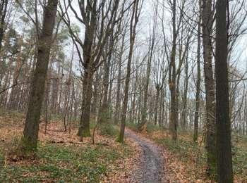 Trail Walking Aiseau-Presles - Aiseau Presles 030226 - Photo