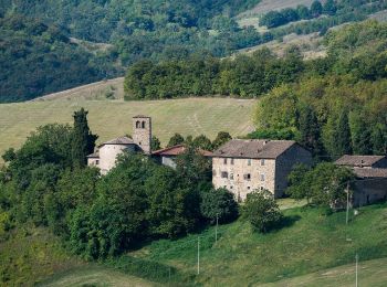Tour Zu Fuß Casina - Bergogno - Mulino del Votigno - Casola Canossa - Photo