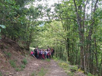 Trail Walking Wegscheid - Sortie école primaire - Rossberg - Photo