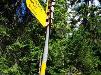 Tour Nordic Walking Arbaz - 06.07.20 bisse de Sion - Photo