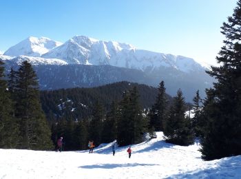 Randonnée Raquettes à neige Vaulnaveys-le-Haut - Lac Achard, Col de l'Infernet, col de la Botte et Croix de Chamrousse en circuit - Photo