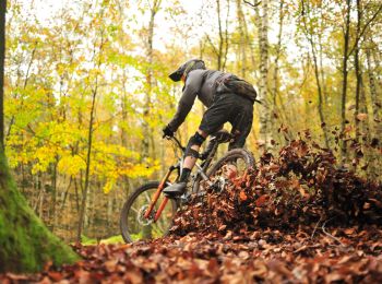 Excursión Bici de montaña Spa - Spa VTT n°2 - Photo