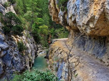 Trail Walking Estoublon - Gorges de Trévans - Photo