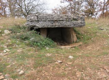 Randonnée Marche Miers - Miers- Les dolmens - Photo