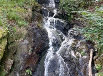 Tocht Stappen Mauriac - le trou du loup - Photo