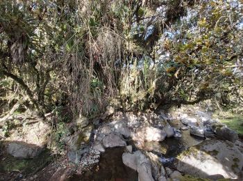 Trail Walking Machachi - Río de Secret Garden - Photo