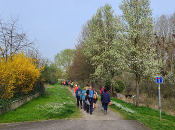Tour Wandern Bourg-et-Comin - Bourg et Comin après-midi du 21-03-2024 - Photo