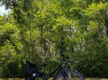 Randonnée Vélo de route Villeurbanne - velo Miribel  - Photo