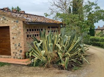 Tour Wandern Castelfiorentino - Coiano /  Pancole - Photo