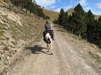 Trail Horseback riding Torla-Ordesa - Parc national d’Ordessa J2 - Photo