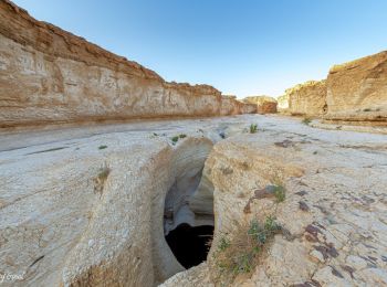 Percorso A piedi מועצה אזורית תמר - IL-11535 - Photo