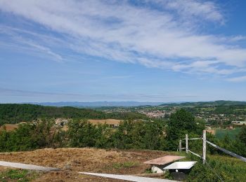 Trail Walking Margès - Boucle De Margès  - Photo