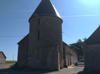 Tocht Stappen La Chapelle-Gauthier - Grand Grippon.2 - Photo