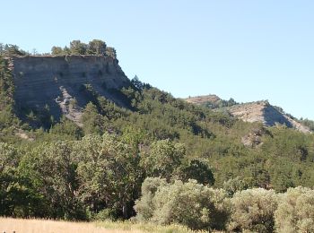 Excursión Senderismo Aubignosc - aubignosc. Le canyon de mourieu  , partie haute  - Photo