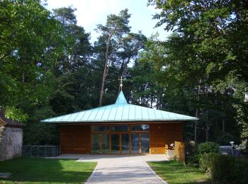 Tocht Te voet Heidenberg - Auf historischen Wegen - Photo