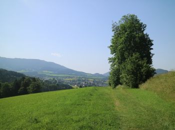 Tocht Te voet Semriach - Wanderweg 13a - Photo