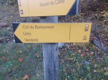 Trail Walking Faucon-du-Caire - FAUCON DU CAIRE . Col de Buissonet , Pie Fourcha o m s - Photo