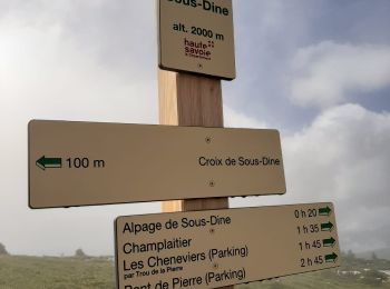 Trail Walking Fillière - GLIERES / BORNES: SOUS DINE AU DEPART DE LES CHENEVIERS...  - Photo