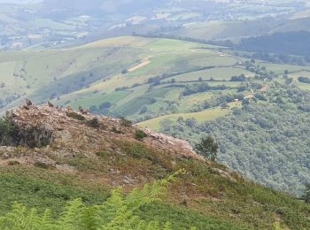 Tour Wandern Irouléguy - Irouleguy le Jara - Photo