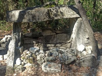 Tour Wandern Cabasse - le dolmen  - Photo