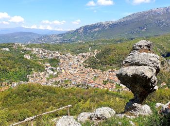 Excursión A pie Monte San Giacomo - (SI S03) Rifugio Cervati - Piaggine - Photo