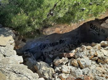 Tour Wandern Leucate - leucate 4 à rectifier - Photo