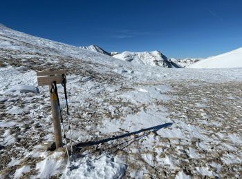 Tour Schneeschuhwandern Entraunes - Tête de la Boucharde  - Photo