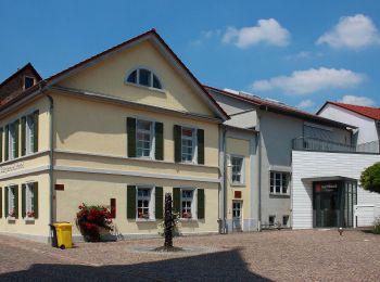 Tour Zu Fuß Klein-Winternheim - Panoramaweg Klein-Winternheim - Photo