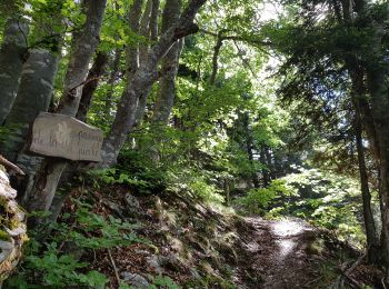 Trail Walking Engins - Charande par le Pas de La Lose et le Pas du Follet - Photo