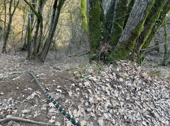 Trail sport Cormot-Vauchignon - Cirque du bout du monde Nolay - Photo