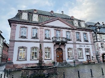 Excursión Senderismo Ribeauvillé - Le village de Ribeauvillé en France - Photo