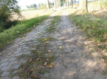Tocht Te voet Beernem - Beverhoutsveld wandelpad - Photo