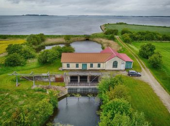 Percorso A piedi  - Fjordstien - Photo