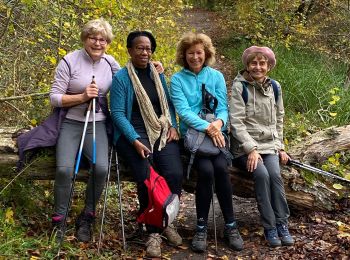 Randonnée Marche nordique Coye-la-Forêt - Autour des Etangs - Photo