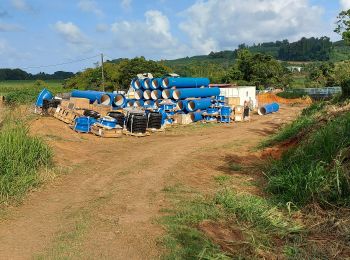 Percorso Marcia Le Lorrain - Boucle Seguinrau via Le Marigot - Photo