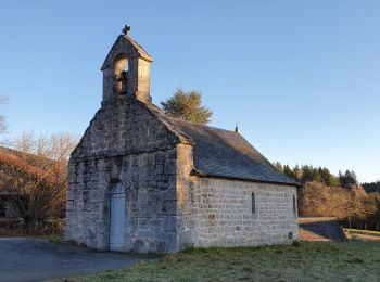 Tocht Stappen Meymac - Lestrade-La Vialle-Le Colomby - Photo