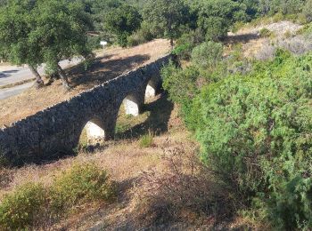 Trail Walking Roquebrune-sur-Argens - Circuit de l'eau - Photo