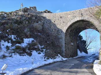 Excursión Senderismo Val-d'Aigoual - Le circuit du Pont Moutonnier - Photo