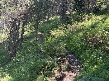 Trail Walking Aragnouet - Lac de catchet - Photo