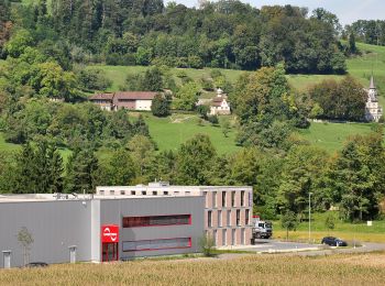 Tour Zu Fuß Pfungen - Pfungen - Stiegen - Photo