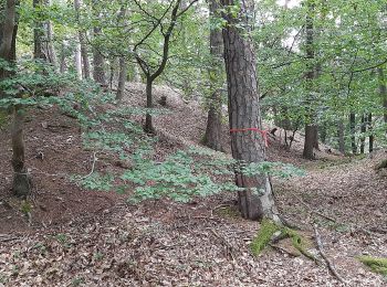 Percorso A piedi Alzenau - Kulturweg Alzenau 2 - Photo