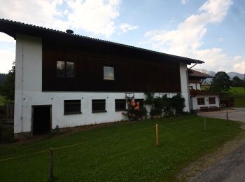 Tour Zu Fuß Schladming - Halserberg Rundweg - Photo