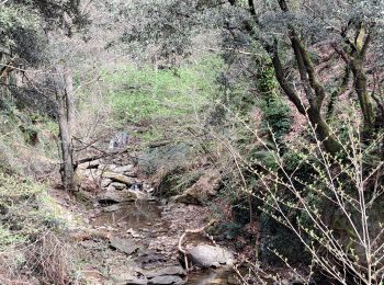 Tour Wandern Portes - Portes à Ste Cécile  - Photo