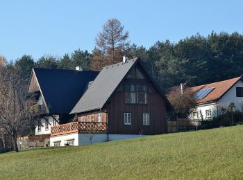 Tocht Te voet Gemeinde Klausen-Leopoldsdorf - Agsbach - Pfalzau - Photo