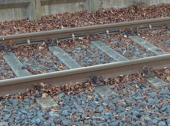 Tour Zu Fuß Bad Driburg - Zugangsweg Hermannshöhen - Bad Driburg - Photo