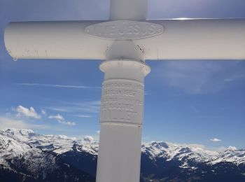 Tocht Sneeuwschoenen Hauteluce - Les Saisies vers la Croix vue Mt Blanc - Photo