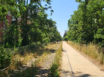Trail Walking Nogent-sur-Marne - 2023 06 25 - Photo